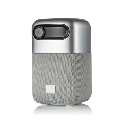 100 Lumen van Mini Home Theater Projector